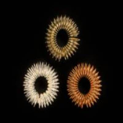 Mindinsole Reflexology Rings